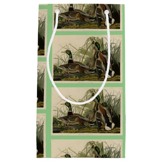 Mallard Duck van Audubon's Birds of America Klein Cadeauzakje (Voorkant)