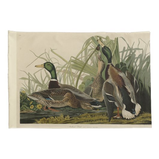 Mallard Duck van Audubon's Birds of America Kussensloop (Achterkant-Rechts)