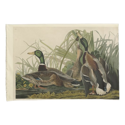 Mallard Duck van Audubon's Birds of America Kussensloop (Voorkant-Rechts)