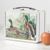 Mallard Duck van de vogels van Amerika (Audubon) (In situ)