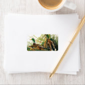 Mallard Duck van John James Audubon Etiket (Insitu)