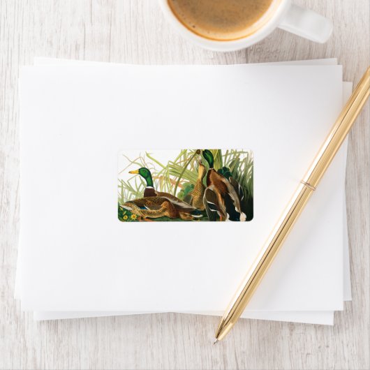 Mallard Duck van John James Audubon Etiket (Insitu)