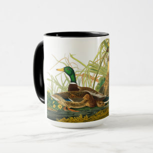 Mallard Duck van John James Audubon Mok