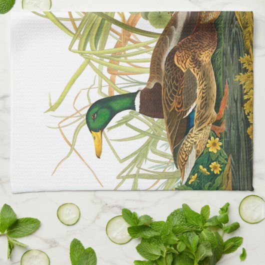 Mallard Duck van John James Audubon Theedoek (Gevouwen)
