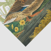 Mallard Duck van John James Audubon Tissuepapier (Detail)