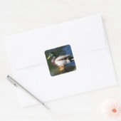 Mallard Duck Vierkante Sticker (Envelop)