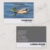 Mallard Duck Visitekaartje (Voorkant / Achterkant)