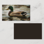 Mallard Duck Visitekaartje (Voorkant / Achterkant)