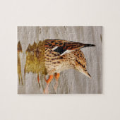 Mallard Duck voedt onderwater Legpuzzel (Horizontaal)
