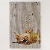 Mallard Duck voedt onderwater Legpuzzel (Verticaal)