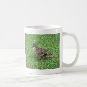 Mallard Duck Vrouw Foto Koffiemok