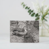 Mallard Duck (vrouw) Warm Tone Black and White Briefkaart (Staand voorkant)