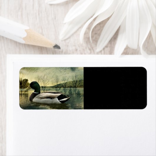 Mallard Duck Weathered Briefkaart Etiket (Insitu)