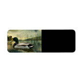 Mallard Duck Weathered Briefkaart Etiket (Voorkant)