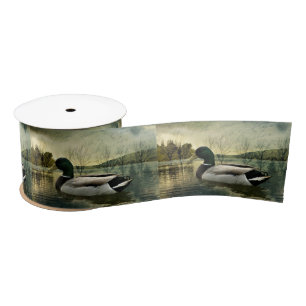 Mallard Duck Weathered Briefkaart Lint