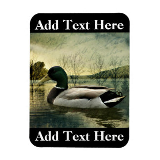  Mallard Duck Weathered Briefkaart Magneet