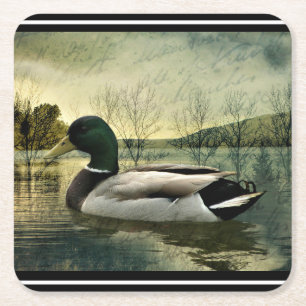 Mallard Duck Weathered Briefkaart Square Pap Vierkante Kartonnen Onderzetter
