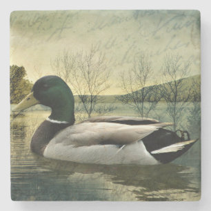 Mallard Duck Weathered Briefkaart Stenen Onderzetter