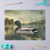  Mallard Duck Weathered Briefkaart Tissuepapier (Craft)
