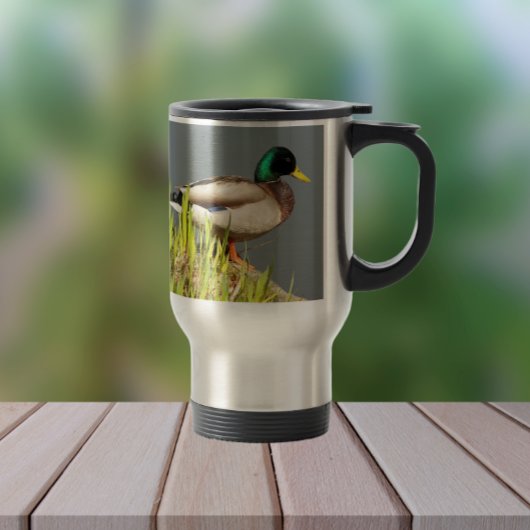 Mallard Duck Wildlife Foto Reisbeker