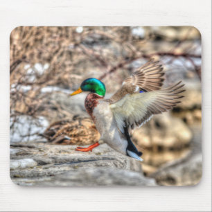 Mallard Duck Wildlife Foto voor Vogelliefhebbers Muismat