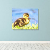 Mallard Ducking Canvas Afdruk (Insitu (Houten vloer))