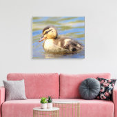 Mallard Ducking Canvas Afdruk (Insitu (Woonkamer))