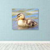 Mallard Ducking Canvas Afdruk (Insitu (Houten vloer))