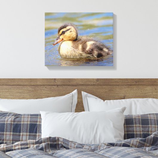 Mallard Ducking Canvas Afdruk (Insitu (Slaapkamer))