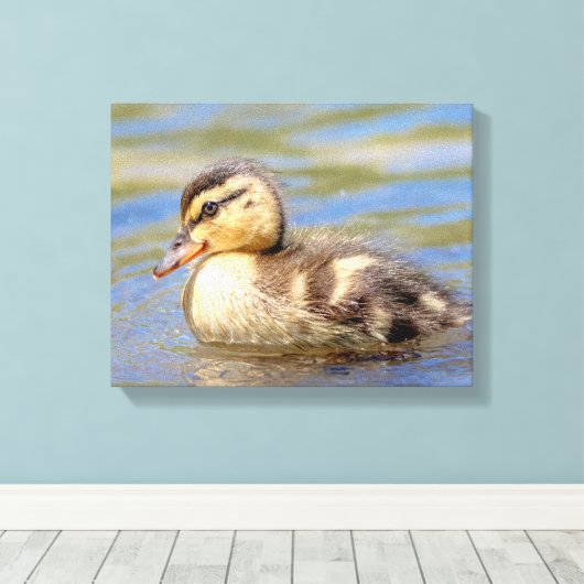 Mallard Ducking Canvas Afdruk (Insitu (Houten vloer))