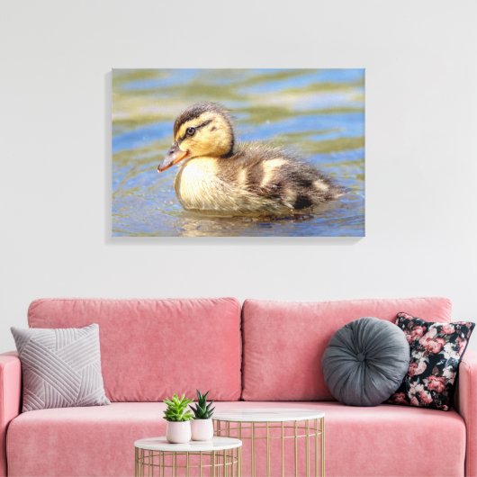 Mallard Ducking Canvas Afdruk (Insitu (Woonkamer))