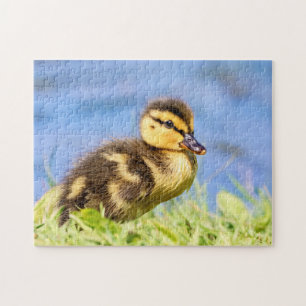 Mallard Ducking Legpuzzel