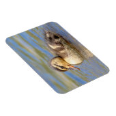 Mallard Ducking Magneet (Rechterzijde)