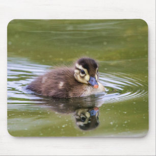 Mallard Ducking Muismat