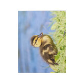 Mallard Ducking Notitieblok (Gedraaid)