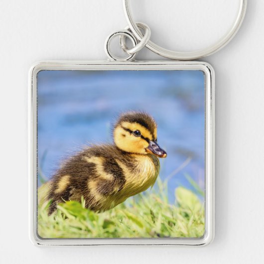 Mallard Ducking Sleutelhanger (Voorkant)
