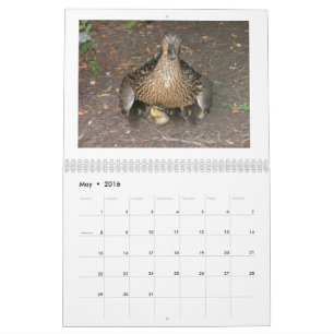 Mallard Duckings Kalender