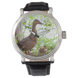 Mallard & Ducklings by Shirley Taylor Horloge
