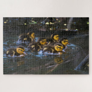 Mallard Ducklings Legpuzzel