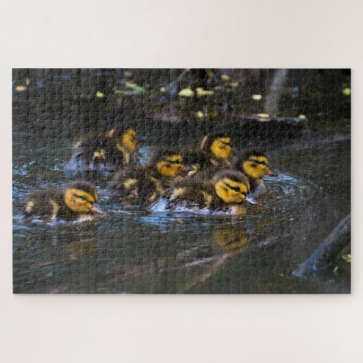 Mallard Ducklings Legpuzzel (Horizontaal)