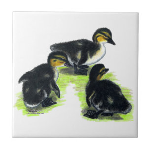 Mallard Ducklings Tegeltje