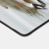 Mallard Ducks (Coin)