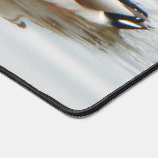 Mallard Ducks (Coin)