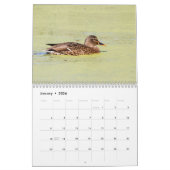 Mallard Ducks 2026 Kalender (Jan 2026)