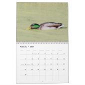 Mallard Ducks 2026 Kalender (Feb 2027)
