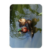 Mallard Ducks #2 Foto Magnet Magneet (Verticaal)