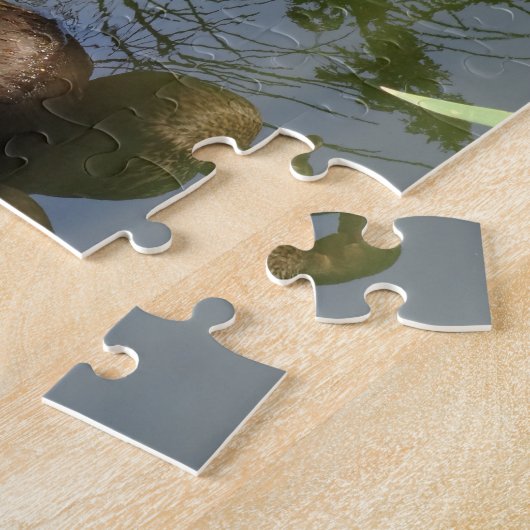 Mallard Ducks #2 Jigsaw Puzzle (Côté)