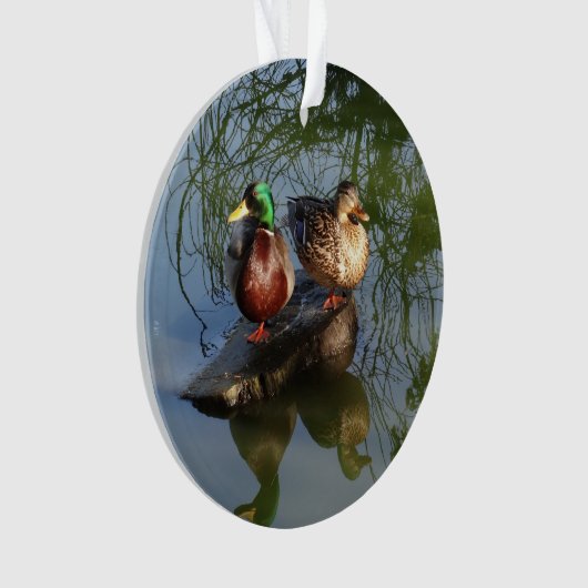 Mallard Ducks #2 Ornament (devant)