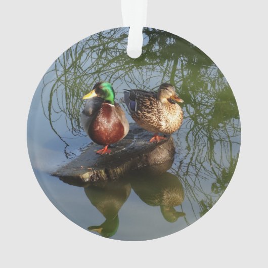 Mallard Ducks #2 Ornament (dos)