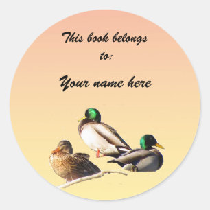 Mallard Ducks Bookplate Ronde Sticker